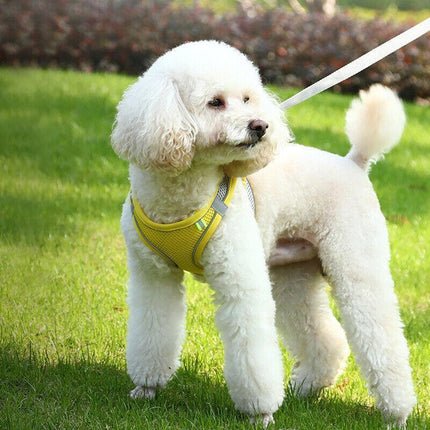 Pet Dog Harness Adjustable Reflective Breathable Outdoor Collars Strap Cat Leash Green - Aimall