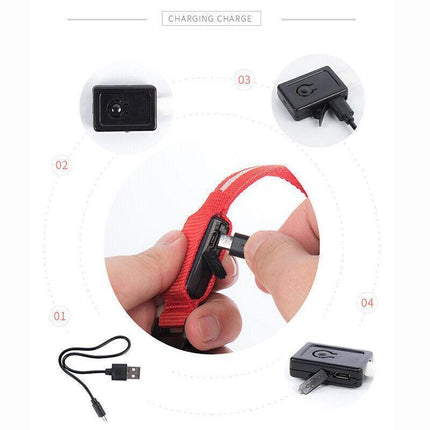M Size USB Rechargeable LED Dog Collar Nylon Glow Flashing Light Up Safety Pet Collars - Aimall