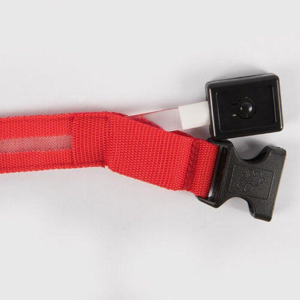 M Size USB Rechargeable LED Dog Collar Nylon Glow Flashing Light Up Safety Pet Collars - Aimall
