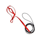 L Pet Parrot Bird Harness Lead Leash Flying Training Rope Cockatiel Outdoor - Aimall