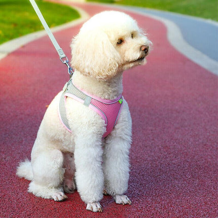 Pet Dog Harness Adjustable Reflective Breathable Outdoor Collars Strap Cat Leash Green - Aimall