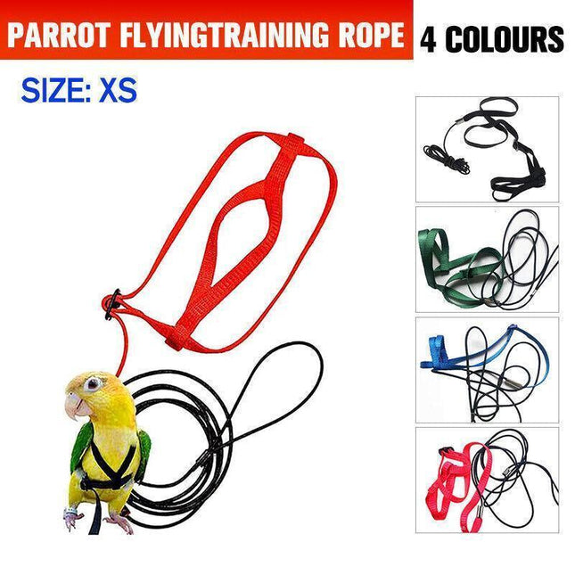 XS Pet Parrot Bird Harness in Colorful Options
