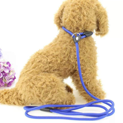 Dog Training Correction Leash Lead Cesar Puppy Pets Millan Slip Nylon Rope 10*140mm - Aimall