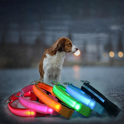 XL Size USB Rechargeable LED Dog Collar Nylon Glow Flashing Light Up Safety - Aimall