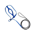 L Pet Parrot Bird Harness Lead Leash Flying Training Rope Cockatiel Outdoor - Aimall