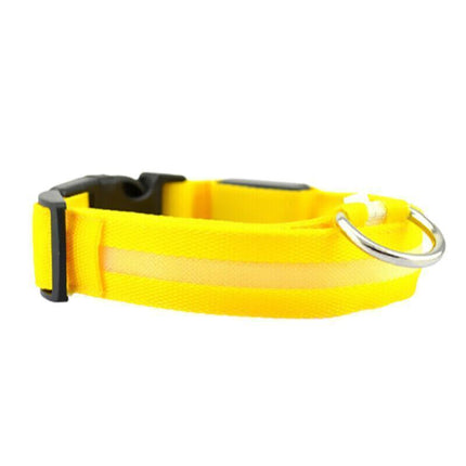 XXL Size USB Rechargeable LED Dog Collar Nylon Glow Flashing Light Up Safety - Aimall