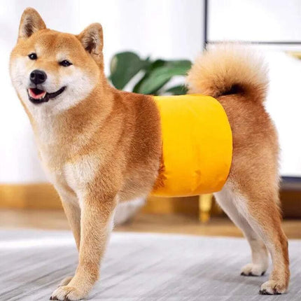 XS Male Dog Puppy Nappy Diaper Belly Wrap Band Sanitary Pants Underpants - Aimall