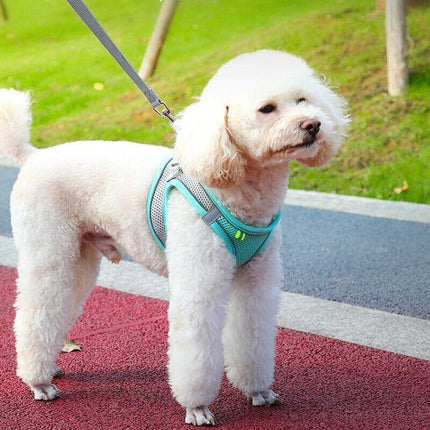Pet Dog Harness Adjustable Reflective Breathable Outdoor Collars Strap Cat Leash Green - Aimall