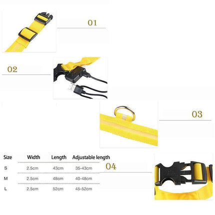M Size USB Rechargeable LED Dog Collar Nylon Glow Flashing Light Up Safety Pet Collars - Aimall