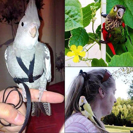 L Pet Parrot Bird Harness Lead Leash Flying Training Rope Cockatiel Outdoor - Aimall