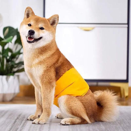 XS Male Dog Puppy Nappy Diaper Belly Wrap Band Sanitary Pants Underpants - Aimall