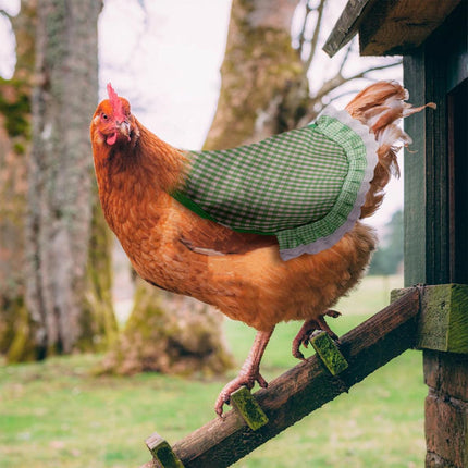 5pcs Pet Feather Protector Hen Apron Poultry Protection Apron for Chickens Birds