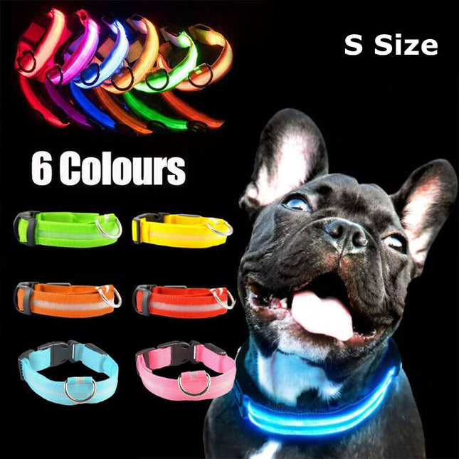 S Size USB Rechargeable LED Dog Collar with Glowing Nylon Strap for Night Visibility