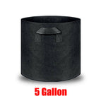 5 Gallon-10PCS