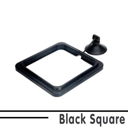 Fish Feeding Ring Aquarium Fish Tank Feeder Floating Fish Food Feeder Fish Food Black - Aimall
