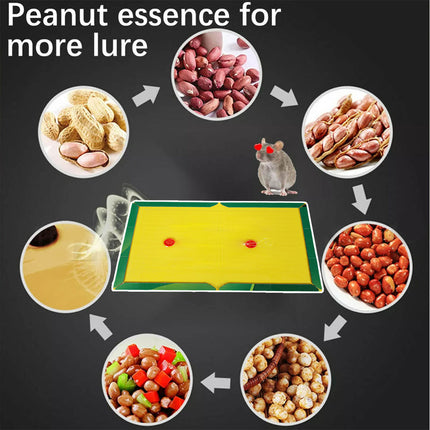 Up to 100X Mouse Traps Rat Mice Mouse Trap Board Snare Catcher Board Pad