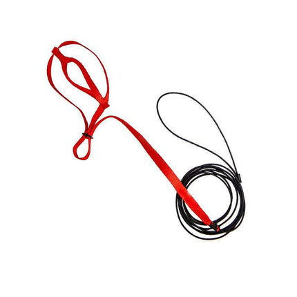 Pet Parrot Bird Harness Lead Leash Flying Training Rope Cockatiel Outdoor AU - Aimall