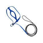 Pet Parrot Bird Harness Lead Leash Flying Training Rope Cockatiel Outdoor AU - Aimall