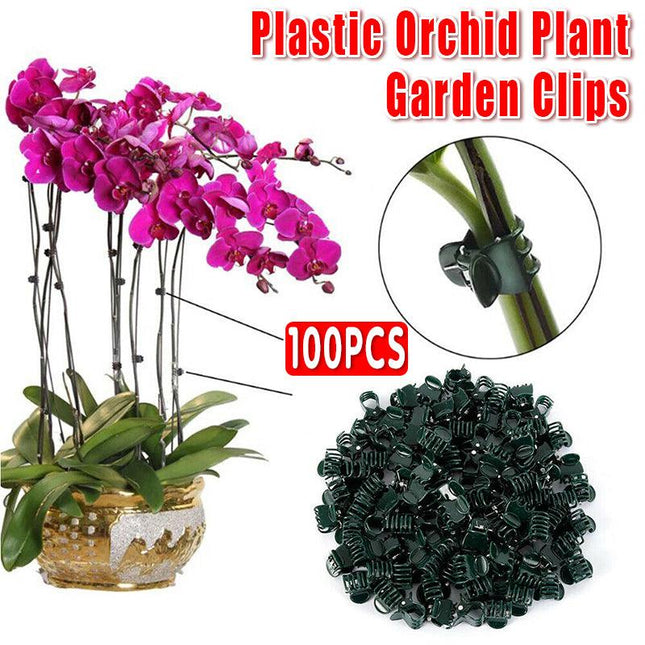 100PCS Plastic Orchid Plant Garden Clips Vegetable Support Flower Holding Stake - Aimall