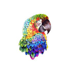 Parrot