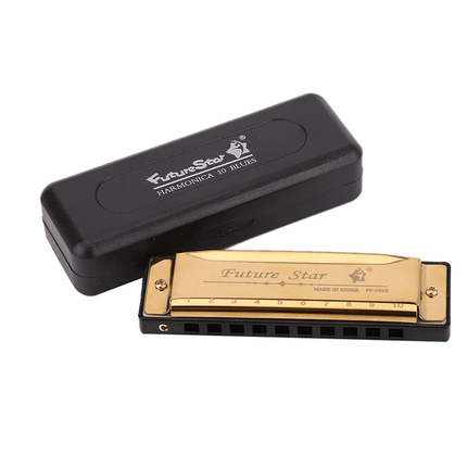 Harmonica 10 Holes Key of C Blue Blues Harp Stainless Steel Brass Harmonica AU - Aimall