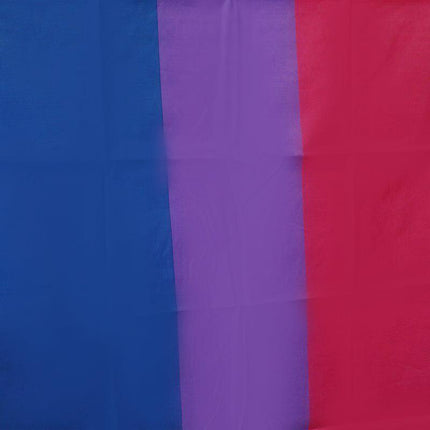 Bisexual LARGE Flag 150x90cm Bi Sexual Pride LGBT Lesbian Gay rainbow Mardi Gras - Aimall