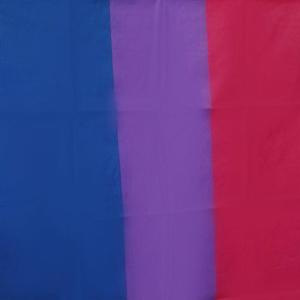 Bisexual LARGE Flag 150x90cm Bi Sexual Pride LGBT Lesbian Gay rainbow Mardi Gras - Aimall