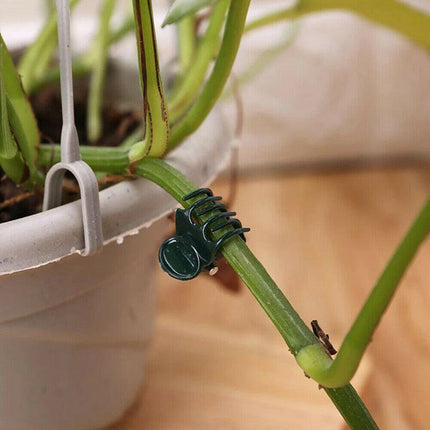 100PCS Plastic Orchid Plant Garden Clips Vegetable Support Flower Holding Stake - Aimall