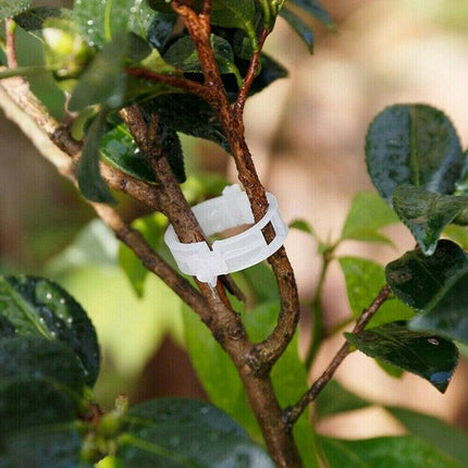 50-200x Tomato Greenhouse Ties Veggie Plant Support Clips Garden trellis Stake - Aimall