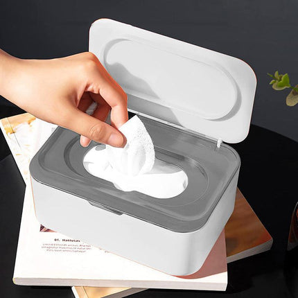 Mask Storage Case Tissue Box Wet Paper Holders Organiser Holder Covers Dispenser - Aimall