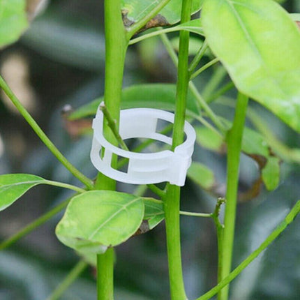 50-200x Tomato Greenhouse Ties Veggie Plant Support Clips Garden trellis Stake - Aimall
