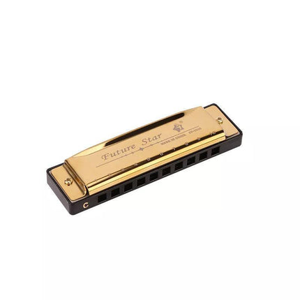Harmonica 10 Holes Key of C Blue Blues Harp Stainless Steel Brass Harmonica AU - Aimall