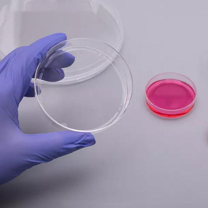 Petri Dish set ready for laboratory use.