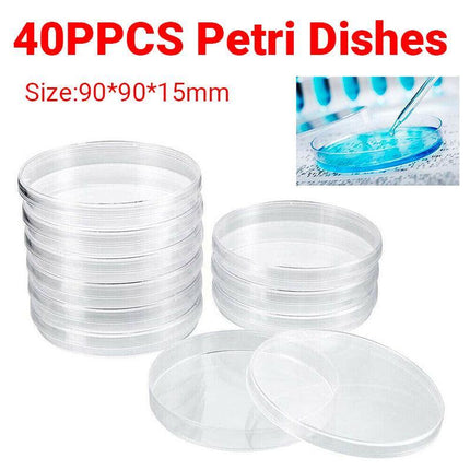 Petri Dish set ready for laboratory use.
