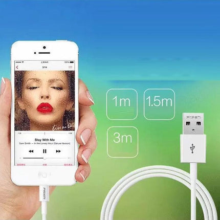PISEN USB Fast Charger Data 1/2/3m cable Compatible For iPhone iPad 12 11 X AU - Aimall