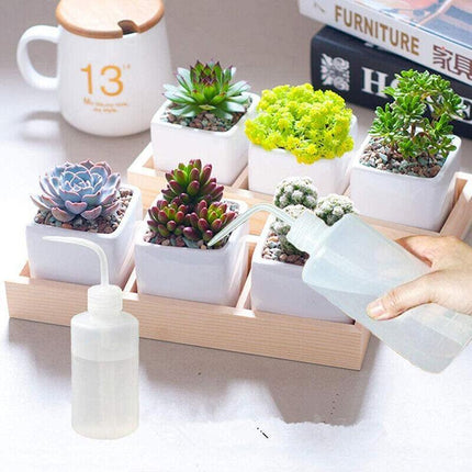 Squeeze Bottle Set for Multiple Uses