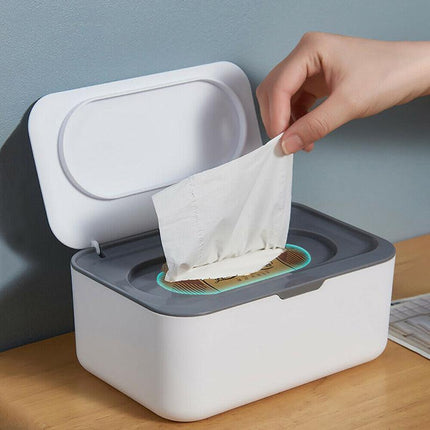 Mask Storage Case Tissue Box Wet Paper Holders Organiser Holder Covers Dispenser - Aimall