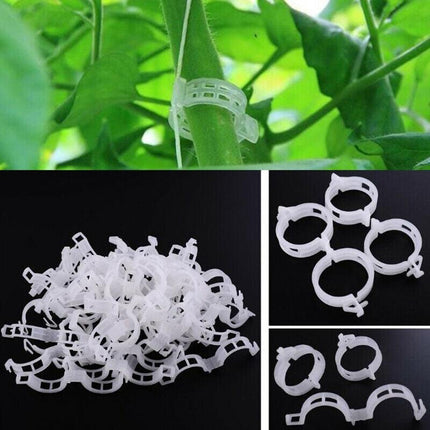 50-200x Tomato Greenhouse Ties Veggie Plant Support Clips Garden trellis Stake - Aimall