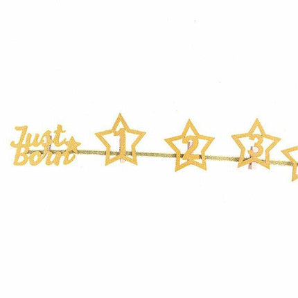 12 Month Photo Banner Milestone Photo Banner for First Birthday Party DIY Decor - Aimall