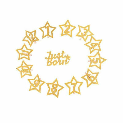 12 Month Photo Banner Milestone Photo Banner for First Birthday Party DIY Decor - Aimall
