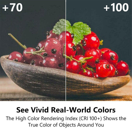 2pcs 25W G9 Warm White Halogen Oven Dimmable Bi-Pin Light Bulb 220-240V 2000hrAU - Aimall