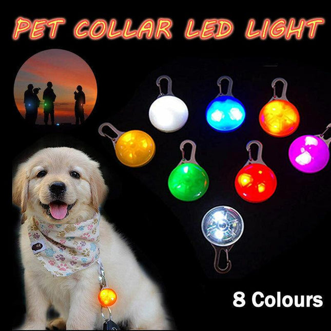 LED Cat Hunting Dog Pet Tag Pendant Leash Flashing Warning Safety Night Light AU - Aimall