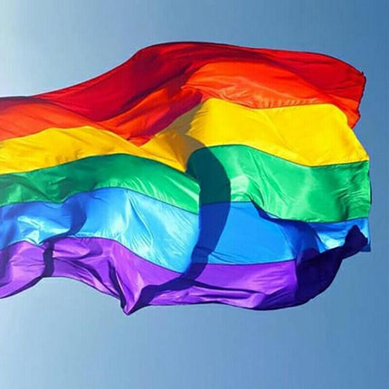 Rainbow Flag Gay Lesbian Pride LGBT Mardi Gras Party Banner Outdoor 150x90cm AU - Aimall