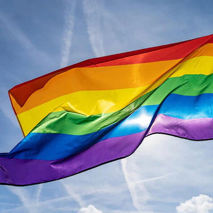 Rainbow Flag Gay Lesbian Pride LGBT Mardi Gras Party Banner Outdoor 150x90cm AU - Aimall