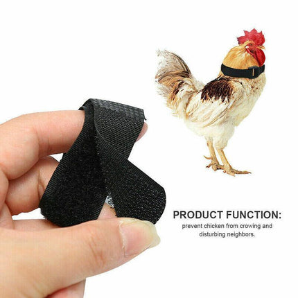 10PCS Anti Crow Collar for Roosters Cockerel No Crow Noise Neck Belt Nylon AU - Aimall