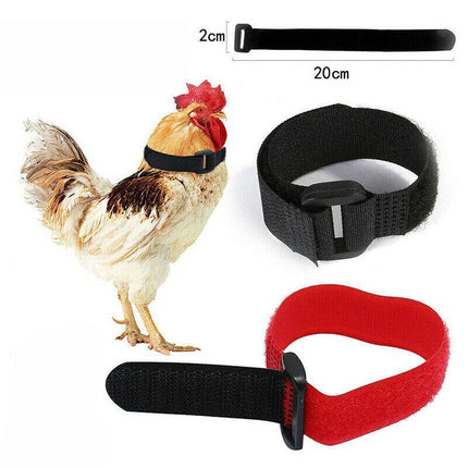 10PCS Anti Crow Collar for Roosters Cockerel No Crow Noise Neck Belt Nylon AU - Aimall