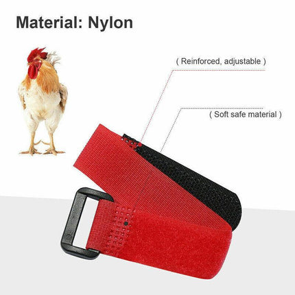 10PCS Anti Crow Collar for Roosters Cockerel No Crow Noise Neck Belt Nylon AU - Aimall