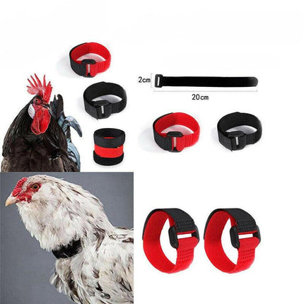 10PCS Anti Crow Collar for Roosters Cockerel No Crow Noise Neck Belt Nylon AU - Aimall
