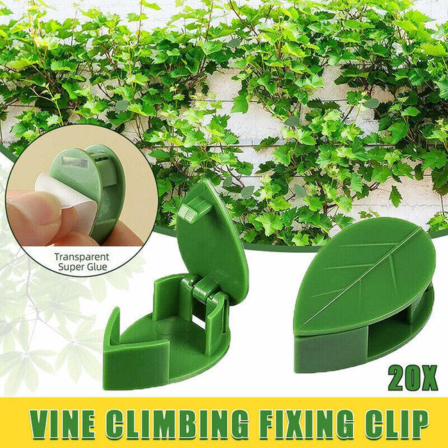 20X Invisible Wall Vines Fixture Sticky Hook Fixing Clip Climbing Plants Holder - Aimall