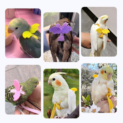 Adjustable Pet Parrot Bird Harness Lead Leash Flying Training Rope Cockatiel AU - Aimall